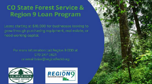 Region 9 EDD forest service loan program